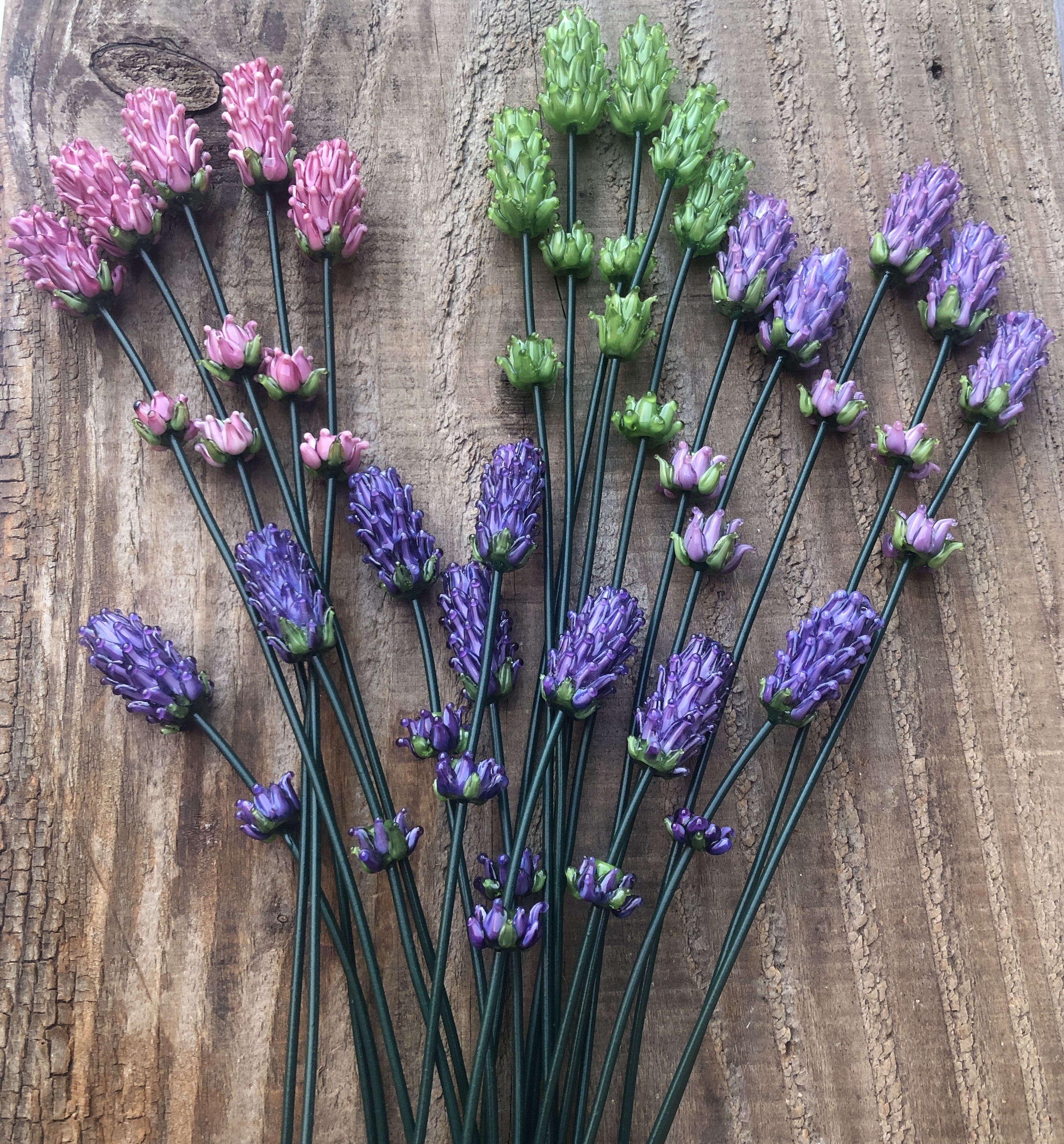 Lavender stems