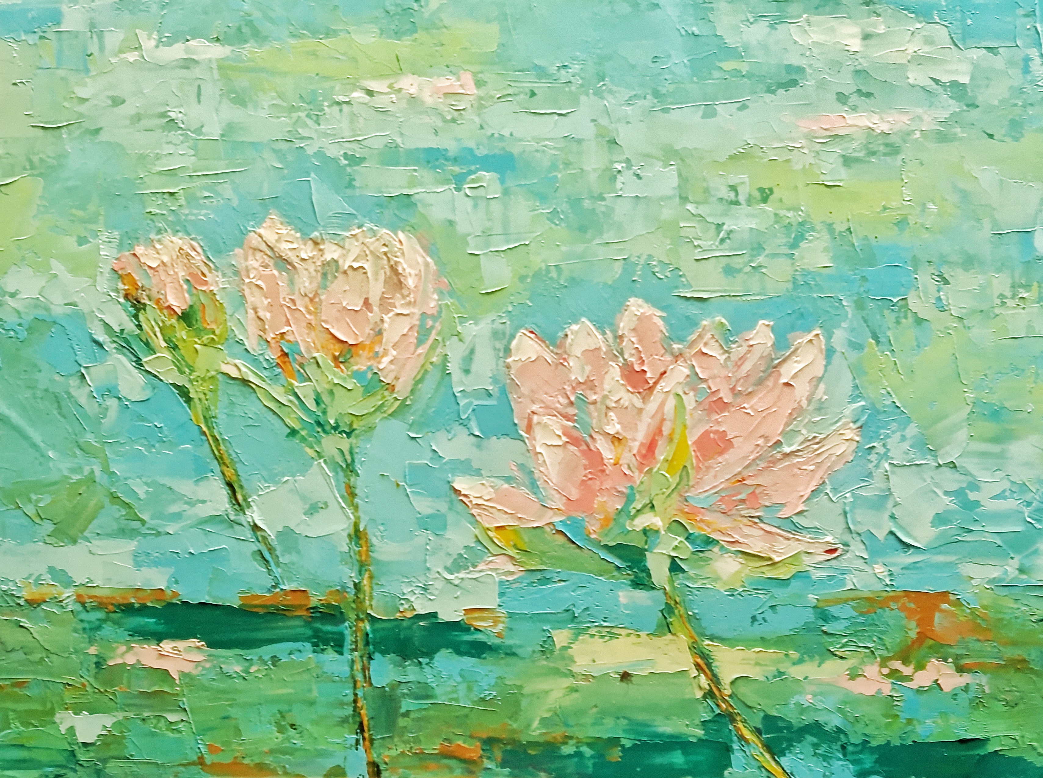 Water lily
