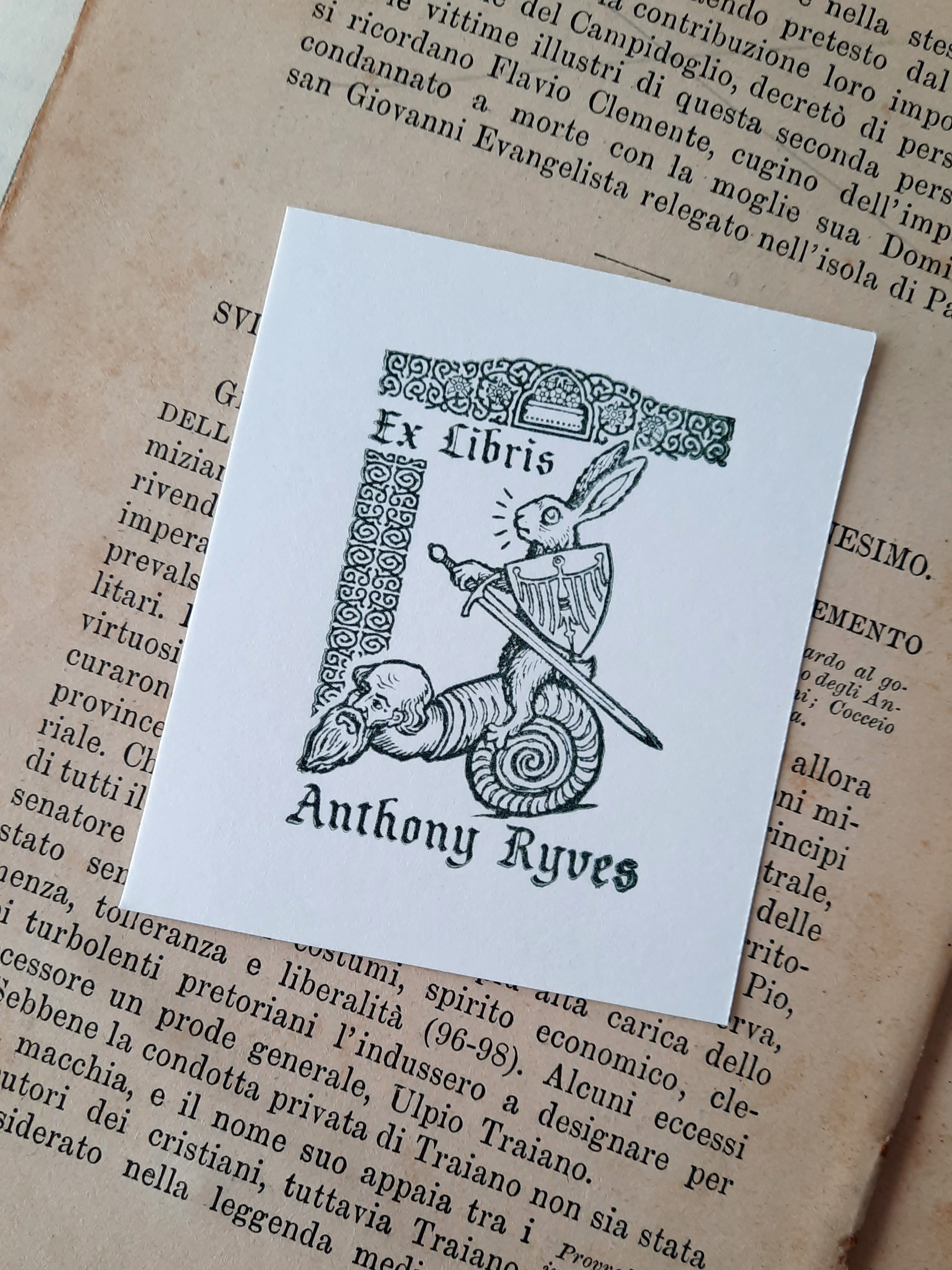 Personalized Book Stamp BookLover Gift for Man Grotesque Medieval Illustration Ex Libris Bookplate Collectible Library Stamp Rabbit Knight, photo 2