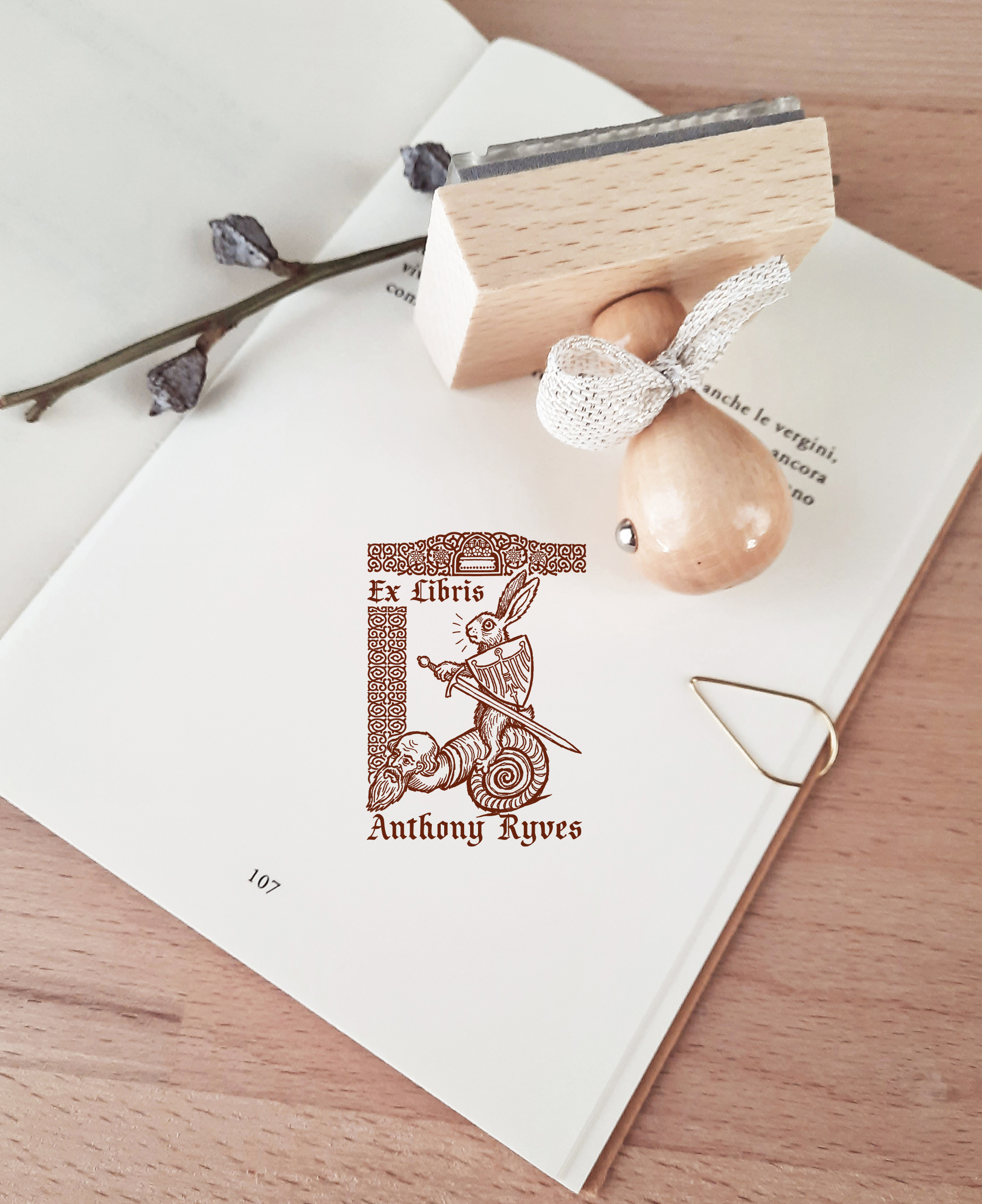 Personalized Book Stamp BookLover Gift for Man Grotesque Medieval Illustration Ex Libris Bookplate Collectible Library Stamp Rabbit Knight, photo 5