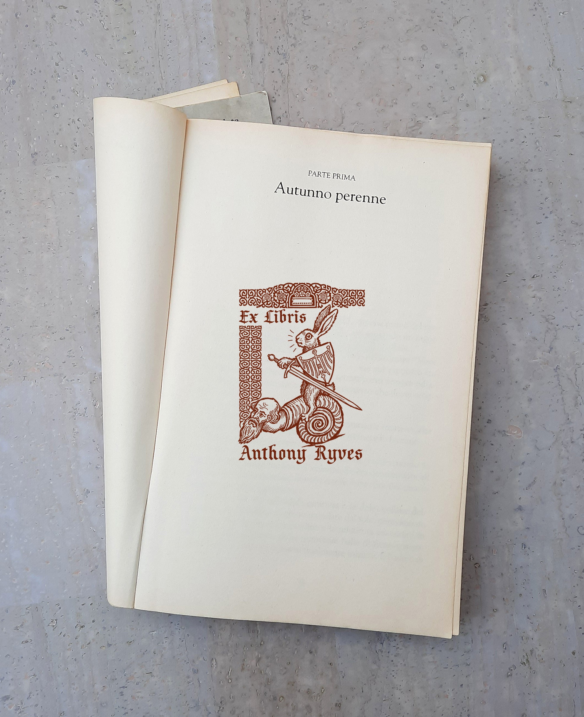 Personalized Book Stamp BookLover Gift for Man Grotesque Medieval Illustration Ex Libris Bookplate Collectible Library Stamp Rabbit Knight, photo 4