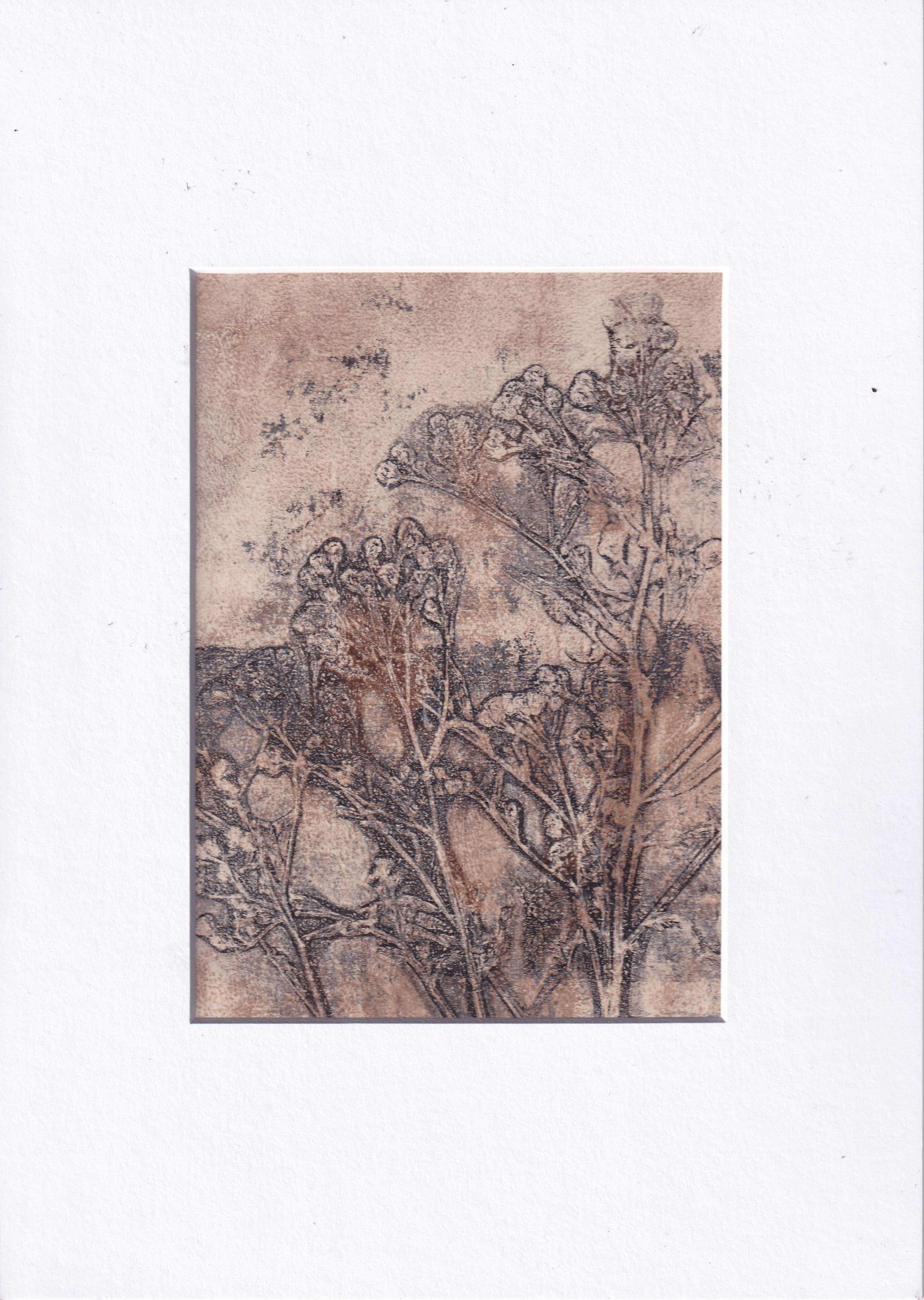 Monoprint - an unique artwork, printed with wildflower - A4 matt included - ready to frame, photo 2