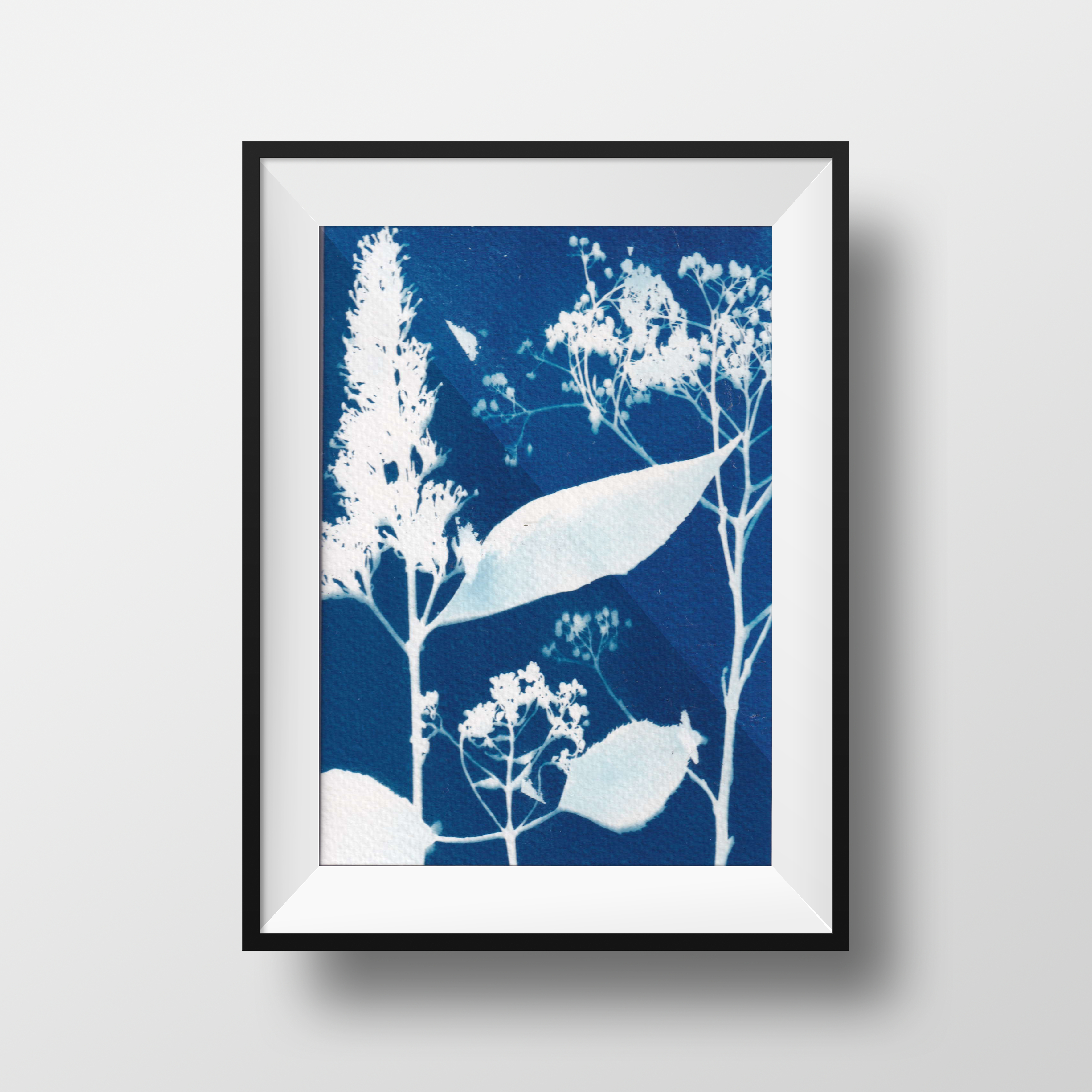 Cyanotype - buddleja from my own garden - printed with the sun, photo 4