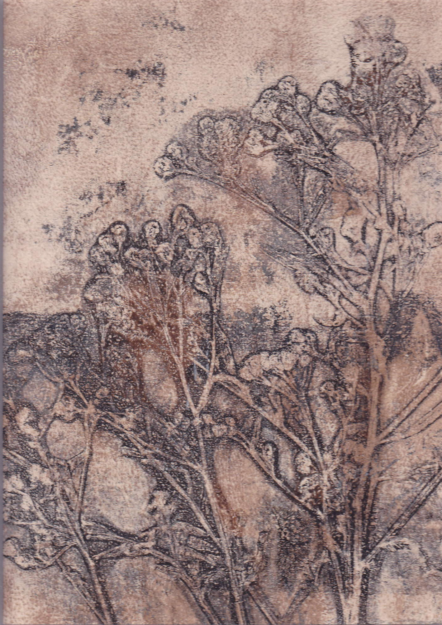 Monoprint - an unique artwork, printed with wildflower - A4 matt included - ready to frame, photo 3