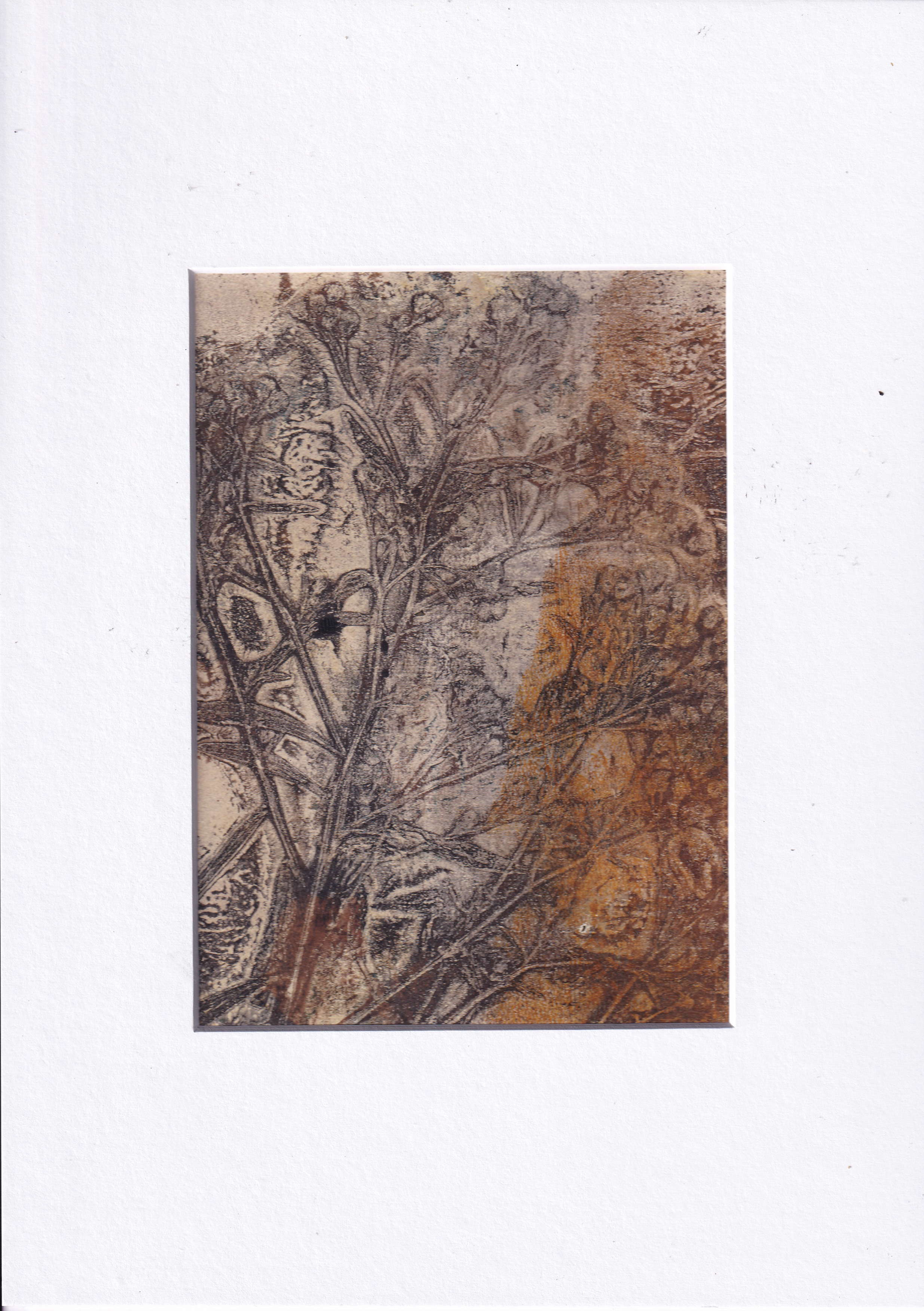 Monoprint - an unique artwork, printed with wildflower - A4 matt included - ready to frame
