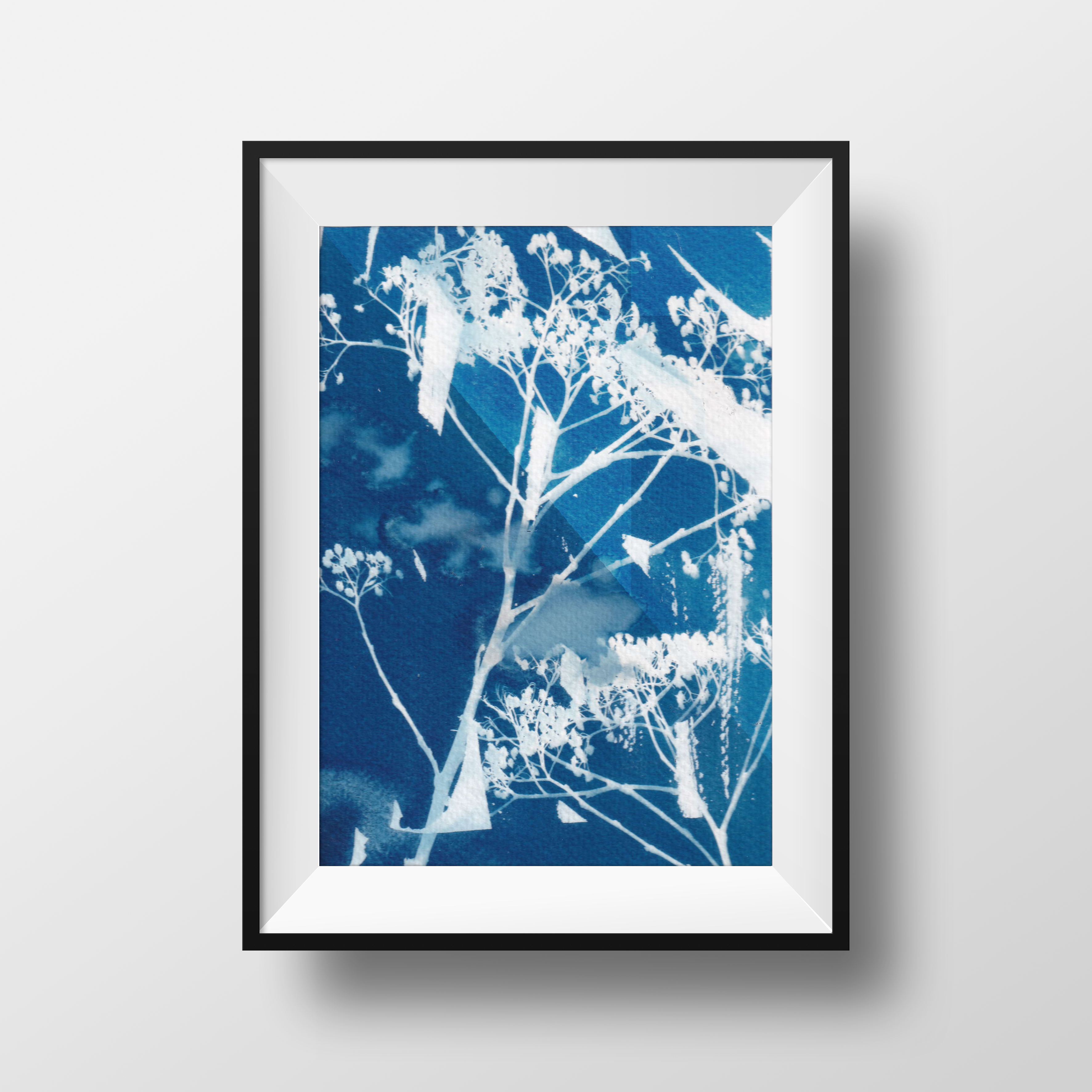 Cyanotype - sunprint from wildflowers, photo 3