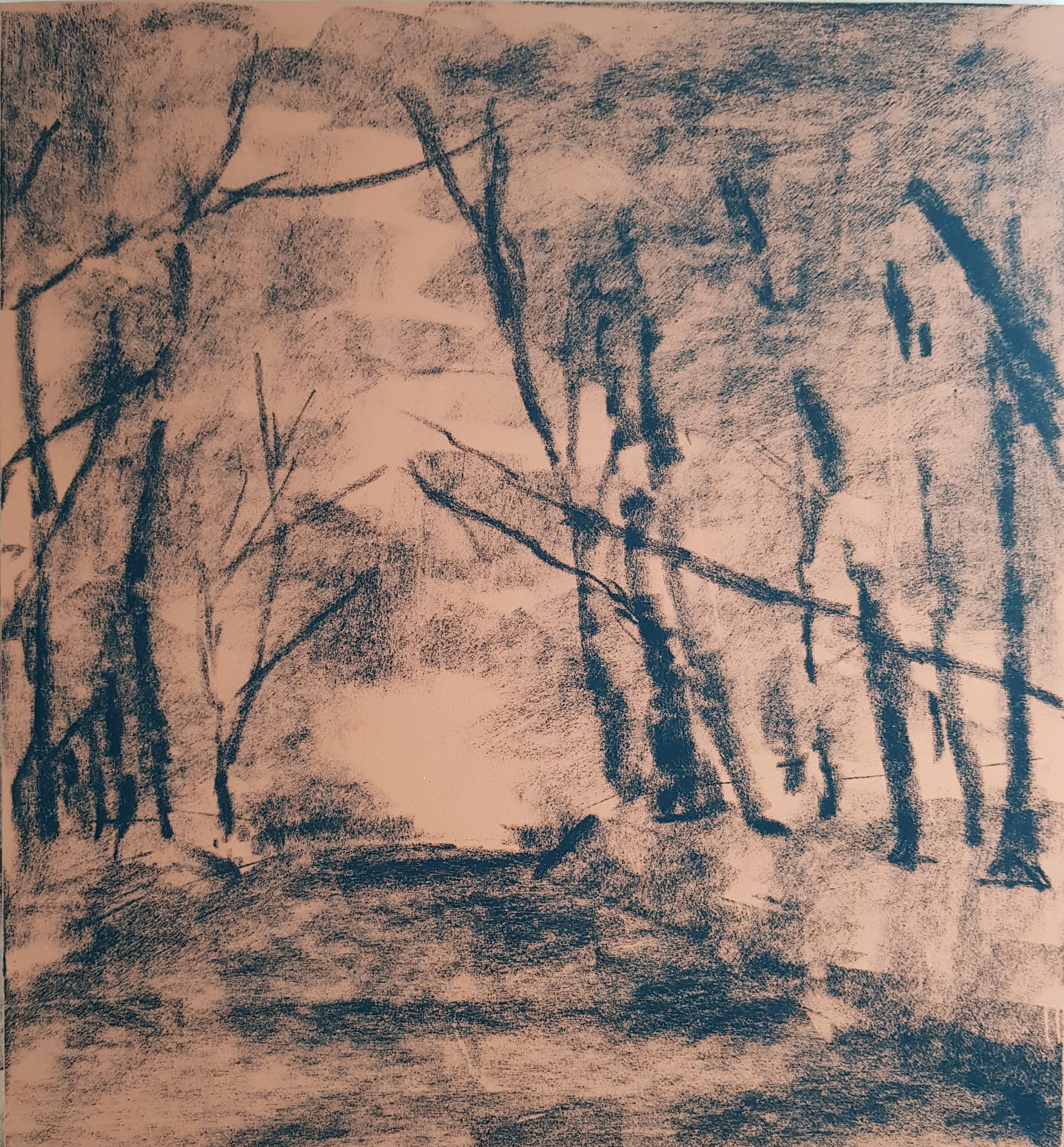An Coill - Ireland Co. Dublin Kilmashogue Forest - Original Soft Pastel Painting 10X12", photo 3